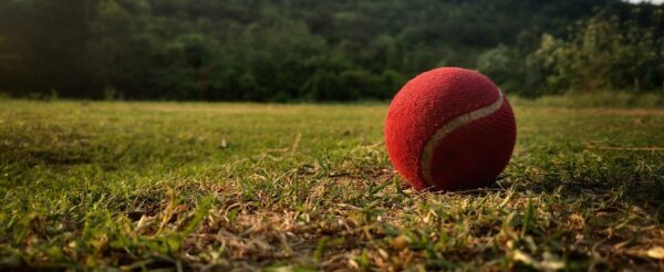 ball, cricket, tennis-3381339.jpg